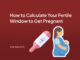 How to Calculate Your Fertile Window to Get Pregnant